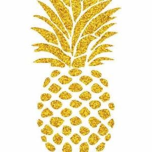 Meet your Posher, Nolan